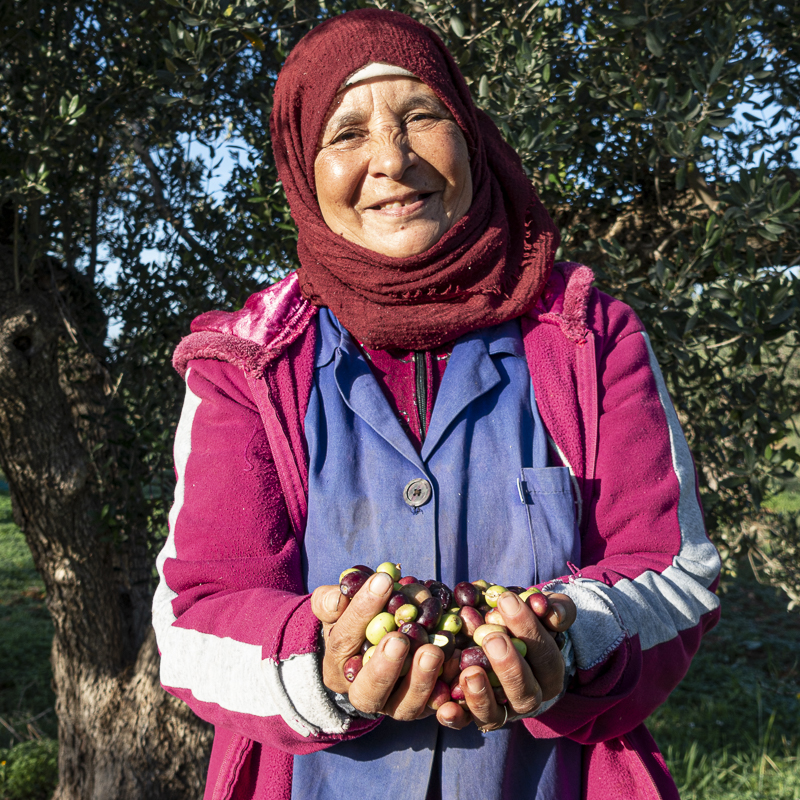 Femmes et olives portrait Moulins mahjoub