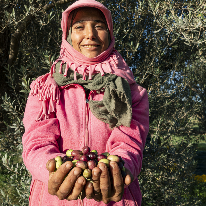 Femmes et olives portrait Moulins mahjoub
