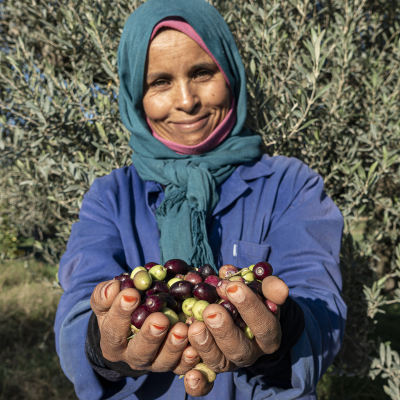 Femmes et olives portrait Moulins mahjoub