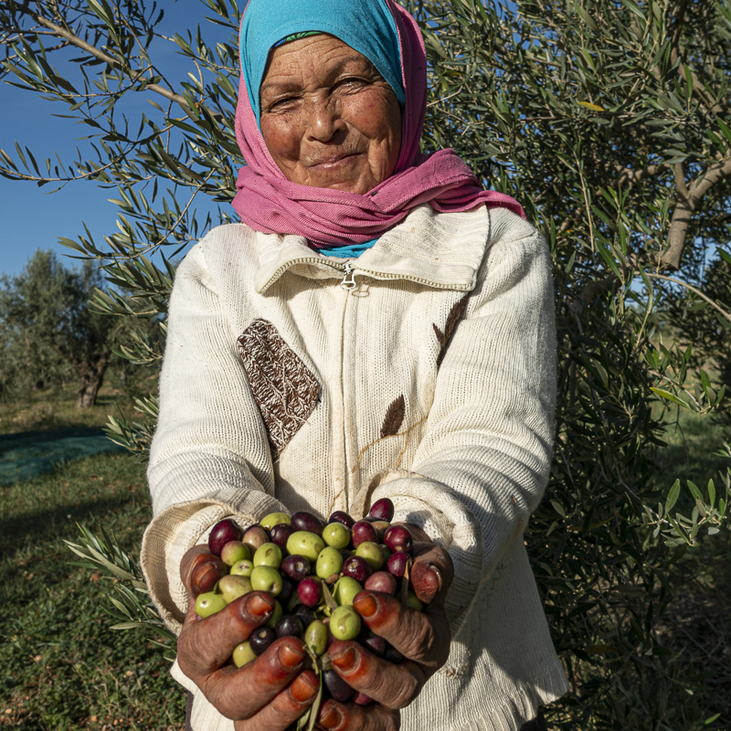 Femmes et olives portrait Moulins mahjoub